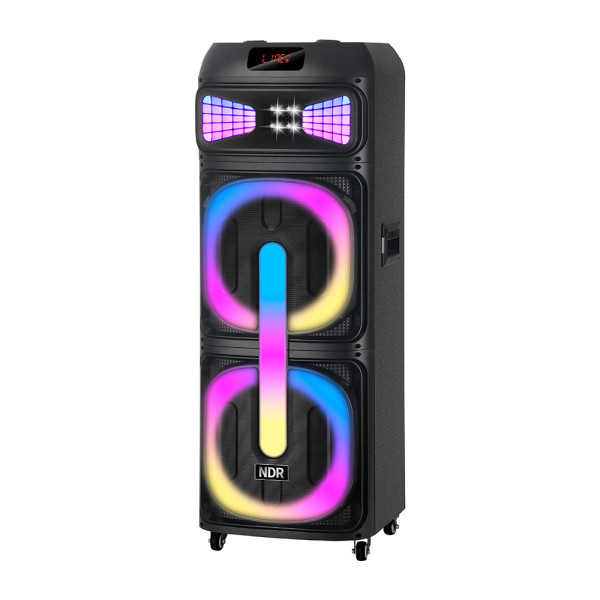 Zvucnik bluetooth NDR-2250 100W 2*12 inca sa dva mikrofona crni