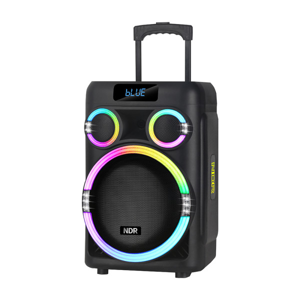 Zvucnik bluetooth NDR-B315 60W 15inca sa dva mikrofona crni